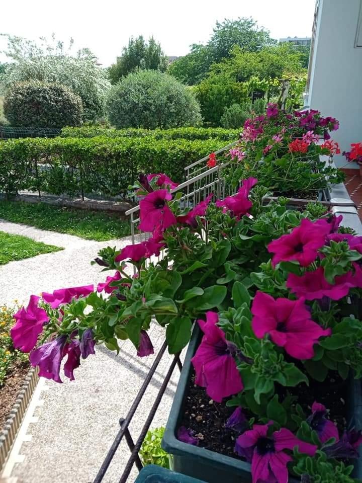 La Cjase Di Pieri E Vilme Bed and Breakfast Udine Exteriör bild