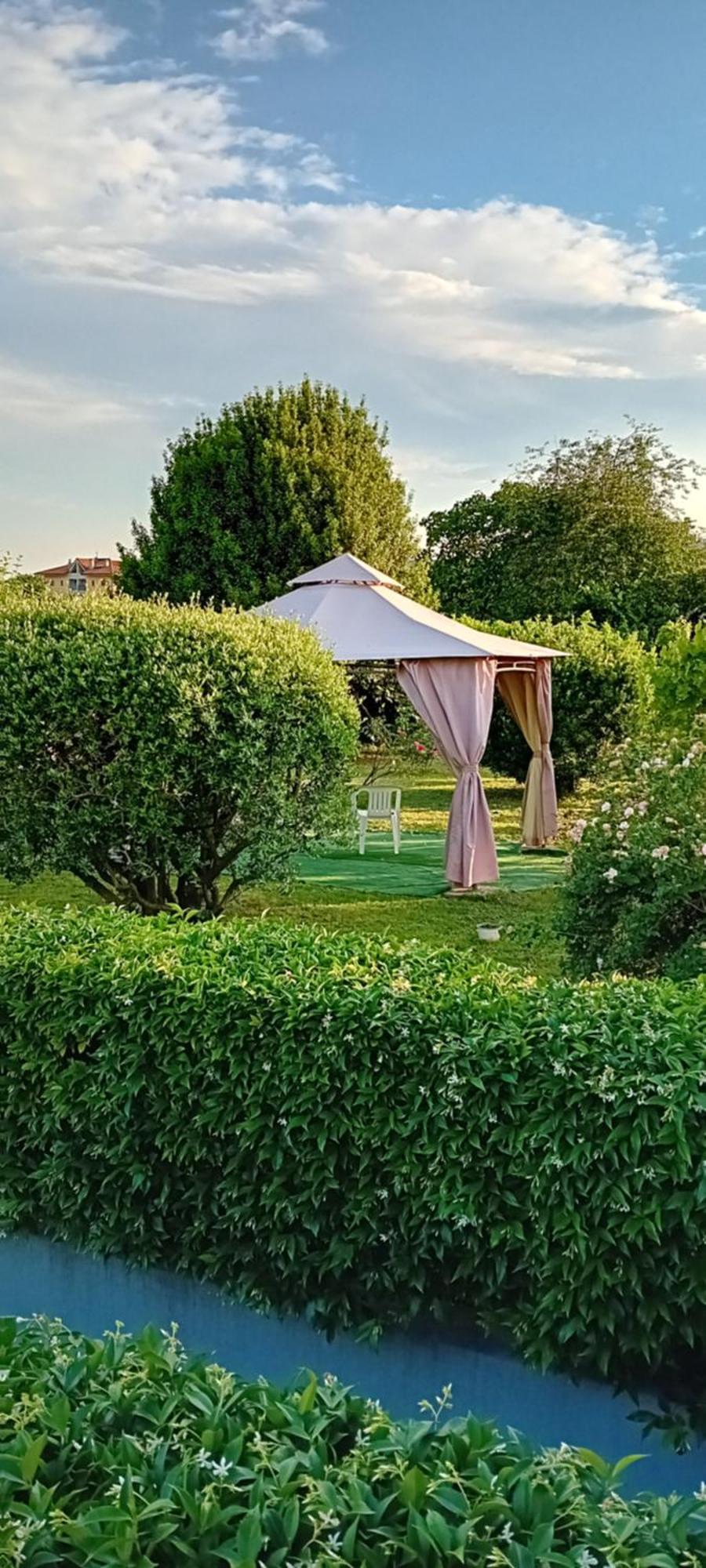 La Cjase Di Pieri E Vilme Bed and Breakfast Udine Exteriör bild